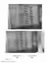 Fig. 22 - Methods and apparatuses for gene purification and imaging