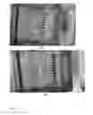 Fig. 24 - Methods and apparatuses for gene purification and imaging