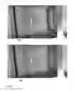 Fig. 25 - Methods and apparatuses for gene purification and imaging