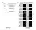 Fig. 06 - PEPTIDE-PRESENTING PROTEIN AND PEPTIDE LIBRARY USING SAME