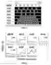 Fig. 07 - PEPTIDE-PRESENTING PROTEIN AND PEPTIDE LIBRARY USING SAME