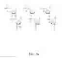 Fig. 02 - Nuclease-resistant DNA analogues