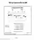 Fig. 14 - Nuclease-resistant DNA analogues