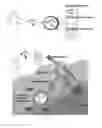 Fig. 09 - Compositions and methods for the delivery of nucleic acids