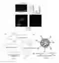 Fig. 13 - Compositions and methods for the delivery of nucleic acids
