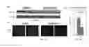 Fig. 15 - Compositions and methods for the delivery of nucleic acids