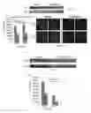 Fig. 17 - Compositions and methods for the delivery of nucleic acids
