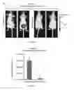 Fig. 40 - Compositions and methods for the delivery of nucleic acids