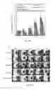 Fig. 44 - Compositions and methods for the delivery of nucleic acids