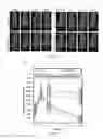 Fig. 45 - Compositions and methods for the delivery of nucleic acids