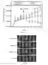 Fig. 48 - Compositions and methods for the delivery of nucleic acids