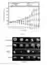 Fig. 49 - Compositions and methods for the delivery of nucleic acids