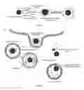Fig. 55 - Compositions and methods for the delivery of nucleic acids