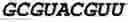 Fig. 101 - Oligonucleotide duplexes comprising DNA-like and RNA-like nucleotides and uses thereof