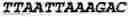 Fig. 102 - Oligonucleotide duplexes comprising DNA-like and RNA-like nucleotides and uses thereof