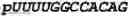 Fig. 112 - Oligonucleotide duplexes comprising DNA-like and RNA-like nucleotides and uses thereof