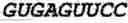 Fig. 113 - Oligonucleotide duplexes comprising DNA-like and RNA-like nucleotides and uses thereof