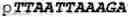 Fig. 136 - Oligonucleotide duplexes comprising DNA-like and RNA-like nucleotides and uses thereof