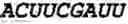 Fig. 141 - Oligonucleotide duplexes comprising DNA-like and RNA-like nucleotides and uses thereof