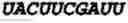 Fig. 148 - Oligonucleotide duplexes comprising DNA-like and RNA-like nucleotides and uses thereof