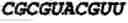 Fig. 152 - Oligonucleotide duplexes comprising DNA-like and RNA-like nucleotides and uses thereof