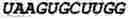 Fig. 178 - Oligonucleotide duplexes comprising DNA-like and RNA-like nucleotides and uses thereof