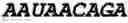 Fig. 183 - Oligonucleotide duplexes comprising DNA-like and RNA-like nucleotides and uses thereof