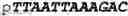 Fig. 187 - Oligonucleotide duplexes comprising DNA-like and RNA-like nucleotides and uses thereof