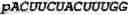 Fig. 199 - Oligonucleotide duplexes comprising DNA-like and RNA-like nucleotides and uses thereof