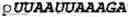Fig. 201 - Oligonucleotide duplexes comprising DNA-like and RNA-like nucleotides and uses thereof