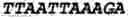 Fig. 23 - Oligonucleotide duplexes comprising DNA-like and RNA-like nucleotides and uses thereof