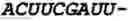 Fig. 40 - Oligonucleotide duplexes comprising DNA-like and RNA-like nucleotides and uses thereof