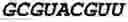 Fig. 44 - Oligonucleotide duplexes comprising DNA-like and RNA-like nucleotides and uses thereof