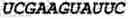 Fig. 45 - Oligonucleotide duplexes comprising DNA-like and RNA-like nucleotides and uses thereof