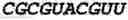 Fig. 46 - Oligonucleotide duplexes comprising DNA-like and RNA-like nucleotides and uses thereof