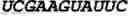 Fig. 50 - Oligonucleotide duplexes comprising DNA-like and RNA-like nucleotides and uses thereof