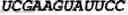 Fig. 55 - Oligonucleotide duplexes comprising DNA-like and RNA-like nucleotides and uses thereof
