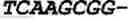 Fig. 85 - Oligonucleotide duplexes comprising DNA-like and RNA-like nucleotides and uses thereof
