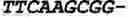 Fig. 87 - Oligonucleotide duplexes comprising DNA-like and RNA-like nucleotides and uses thereof
