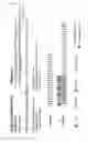 Fig. 19 - Double-stranded agents for delivering therapeutic oligonucleotides