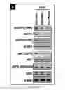 Fig. 09 - Dnazyme for silencing the expression of EGFR
