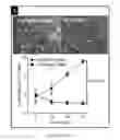 Fig. 12 - Dnazyme for silencing the expression of EGFR