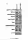 Fig. 18 - Dnazyme for silencing the expression of EGFR