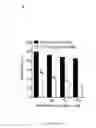 Fig. 24 - Dnazyme for silencing the expression of EGFR