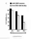Fig. 27 - Dnazyme for silencing the expression of EGFR