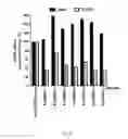 Fig. 28 - Dnazyme for silencing the expression of EGFR