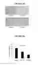 Fig. 04 - NANOCARRIER SYSTEM FOR MICRORNAS AND USES THEREOF