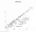 Fig. 11 - NANOCARRIER SYSTEM FOR MICRORNAS AND USES THEREOF