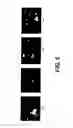 Fig. 08 - Compositions and methods for the improved production and delivery of RNA by efficient transcription termination