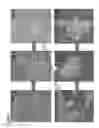 Fig. 02 - Generation of induced pluripotent stem cells from normal human mammary epithelial cells